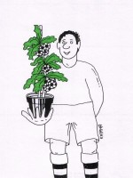 /album/fotogaleria/kvetinac-jpg/