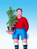 /album/fotogaleria/kvetinac-far-jpg/